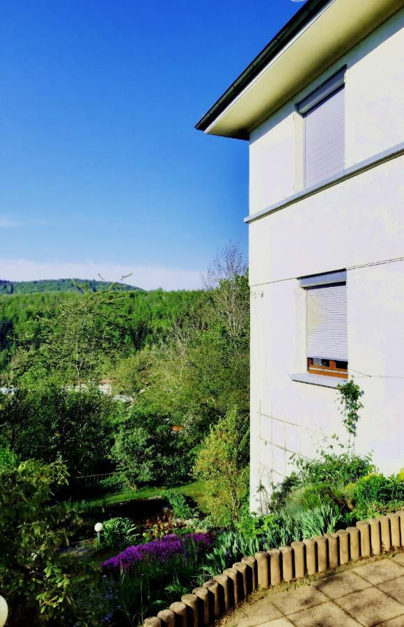 Ferienwohnung Albstadt Panorama Kültér fotó