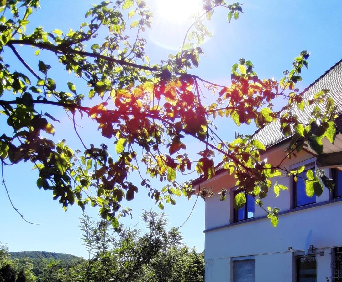 Ferienwohnung Albstadt Panorama Kültér fotó
